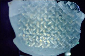 Image of Exploring Curing Distances and Their Influence on Orthodontic Bracket Bond Strength: In Vitro Research