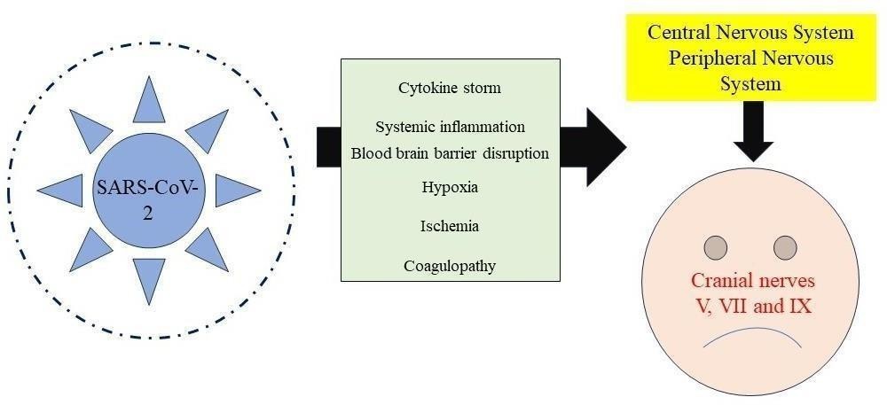 Image of Neurological Oro-facial manifestations of COVID-19: A scoping review